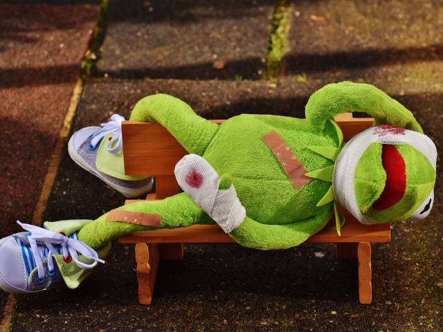 s_alexas_fotos-kermit-1766149 Kita Unter dem Regenbogen – Veranstaltungen - Pädagogischer Tag Erste-Hilfe-Kurs