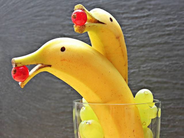 s_banana-dolphin-1737840_1280-22 Kita Unter dem Regenbogen – Veranstaltungen - Gesundes Frühstück
