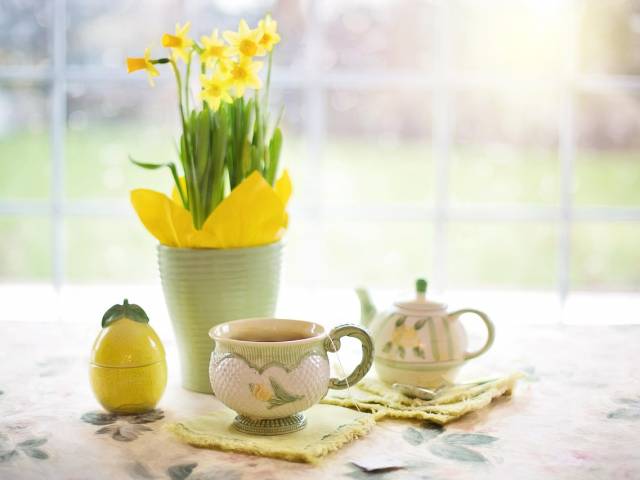 s_daffodils-1316127_1280 Kita Unter dem Regenbogen – Veranstaltungen - Gründonnerstag